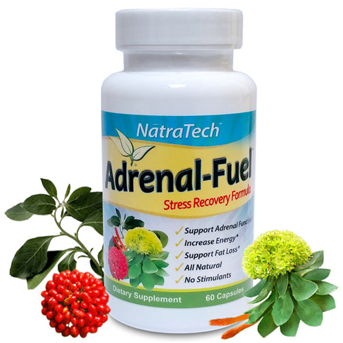 Adrenal-Fuel™ Stress Recovery Formula: Symptom Survey